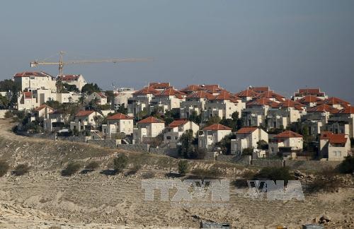 Израиль построит несколько сотен домов в Восточном Иерусалиме - ảnh 1